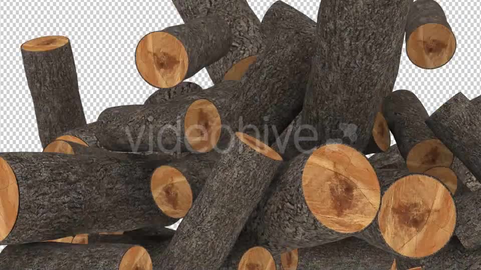 Timber Transition Videohive 17207694 Motion Graphics Image 2