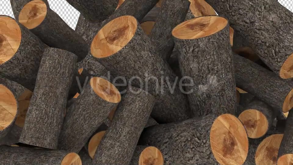 Timber Transition Videohive 17207694 Motion Graphics Image 3