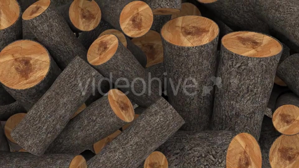 Timber Transition Videohive 17207694 Motion Graphics Image 4