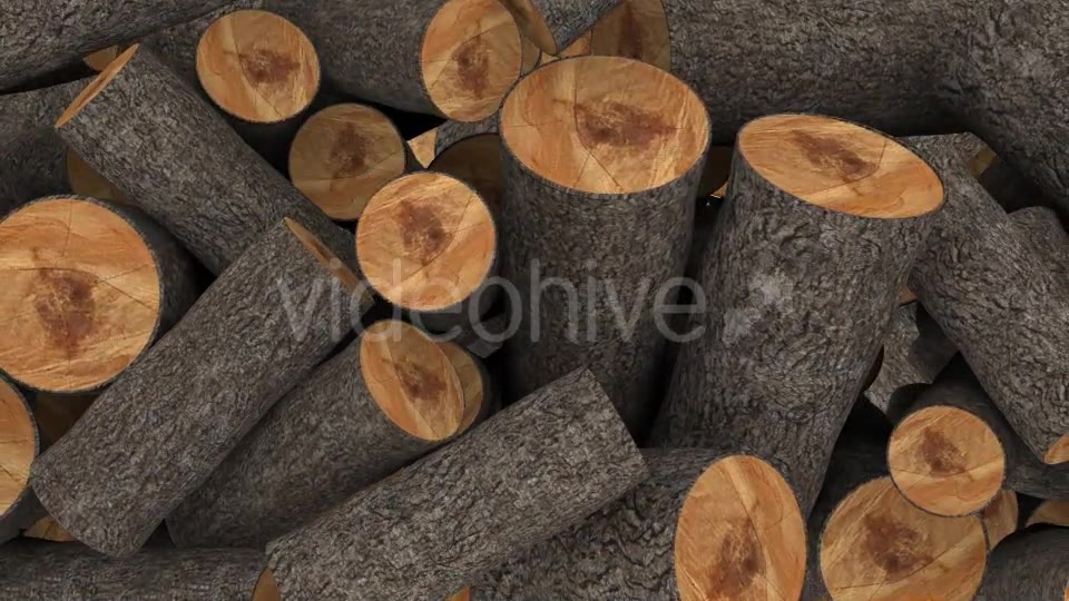 Timber Transition Videohive 17207694 Motion Graphics Image 5