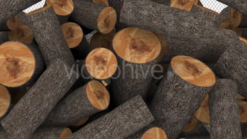 Timber Transition Videohive 17207694 Motion Graphics Image 6