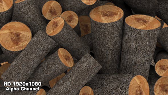 Timber Transition - Videohive 17207694 Download