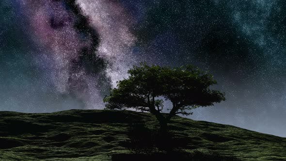Time Lapse Of Night Sky Stars 4 - 15784516 Videohive Download