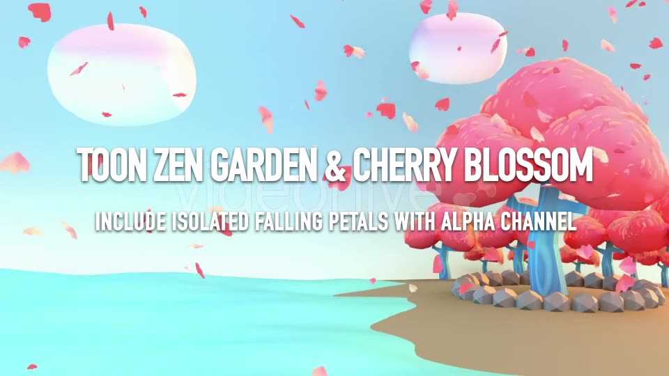 Toon Zen Garden And Cherry Blossom Videohive 16587149 Motion Graphics Image 2