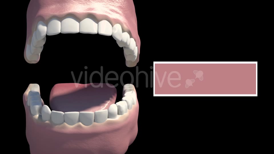 Tooth Eruption Videohive 18419675 Motion Graphics Image 10