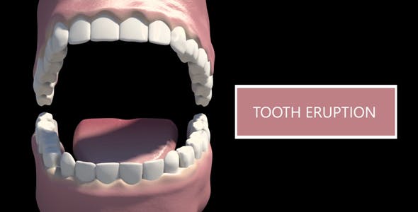 Tooth Eruption - Videohive 18419675 Download