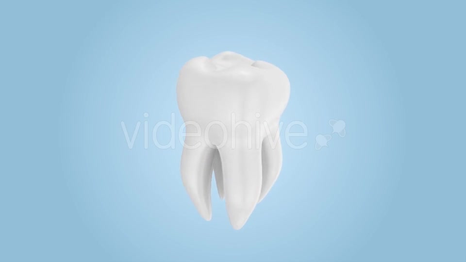 Tooth Rotation Videohive 21185531 Motion Graphics Image 1