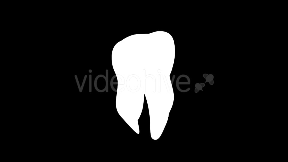 Tooth Rotation Videohive 21185531 Motion Graphics Image 10