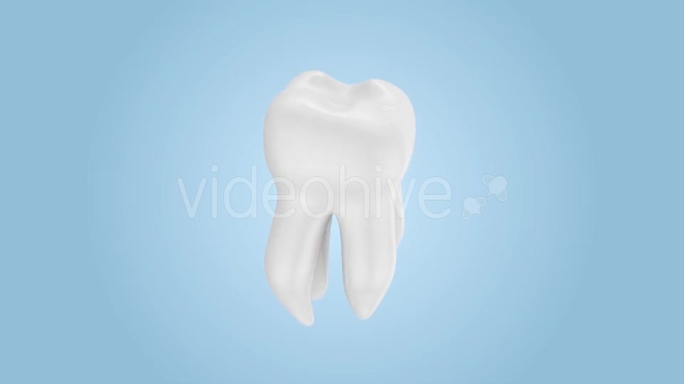 Tooth Rotation Videohive 21185531 Motion Graphics Image 2