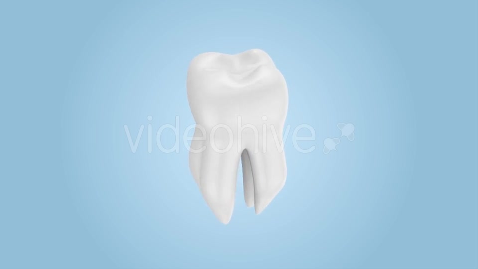 Tooth Rotation Videohive 21185531 Motion Graphics Image 3