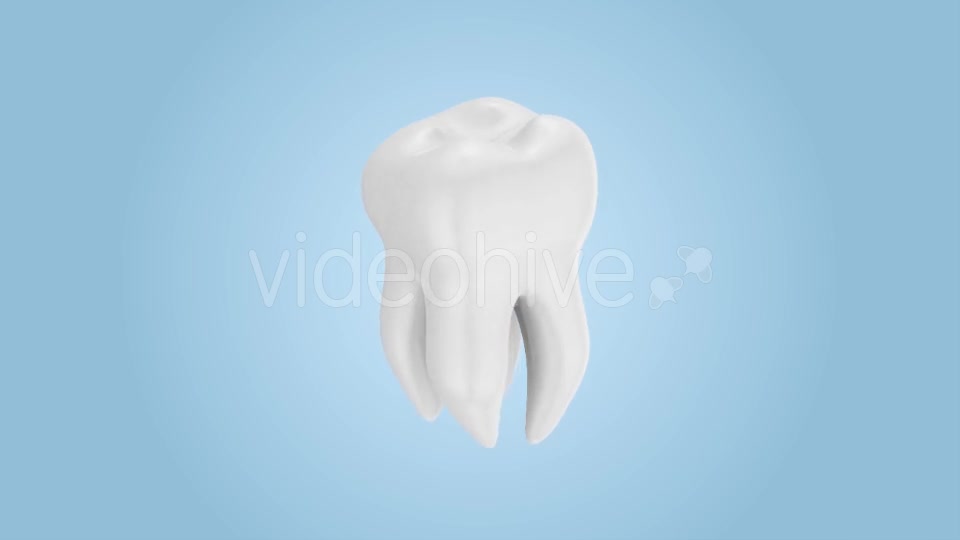 Tooth Rotation Videohive 21185531 Motion Graphics Image 4