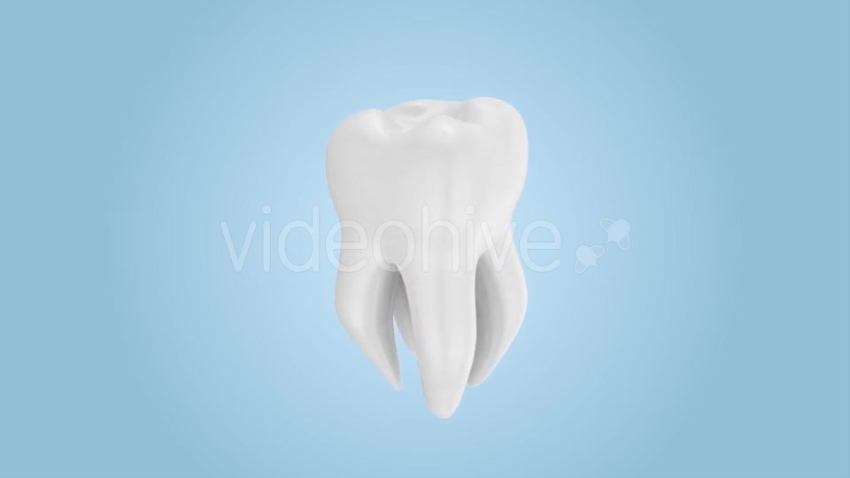Tooth Rotation Videohive 21185531 Motion Graphics Image 5