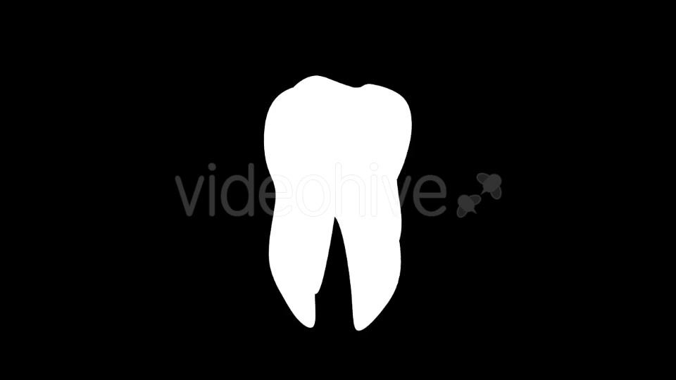Tooth Rotation Videohive 21185531 Motion Graphics Image 6
