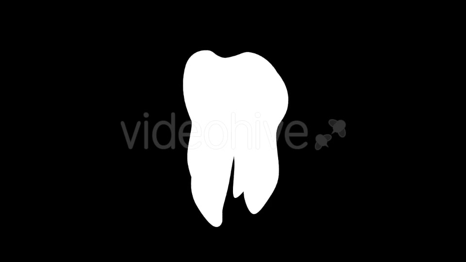 Tooth Rotation Videohive 21185531 Motion Graphics Image 7