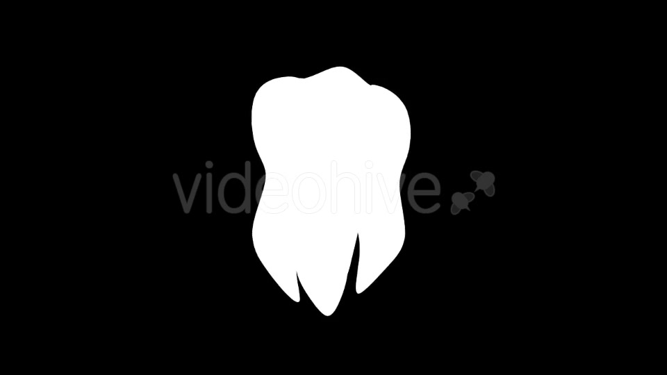 Tooth Rotation Videohive 21185531 Motion Graphics Image 8