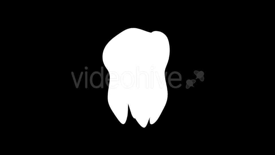 Tooth Rotation Videohive 21185531 Motion Graphics Image 9
