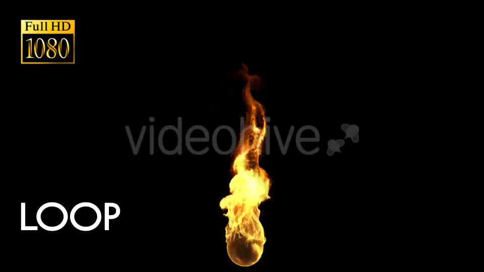 Torch Flame Loop Videohive 19823087 Motion Graphics Image 1
