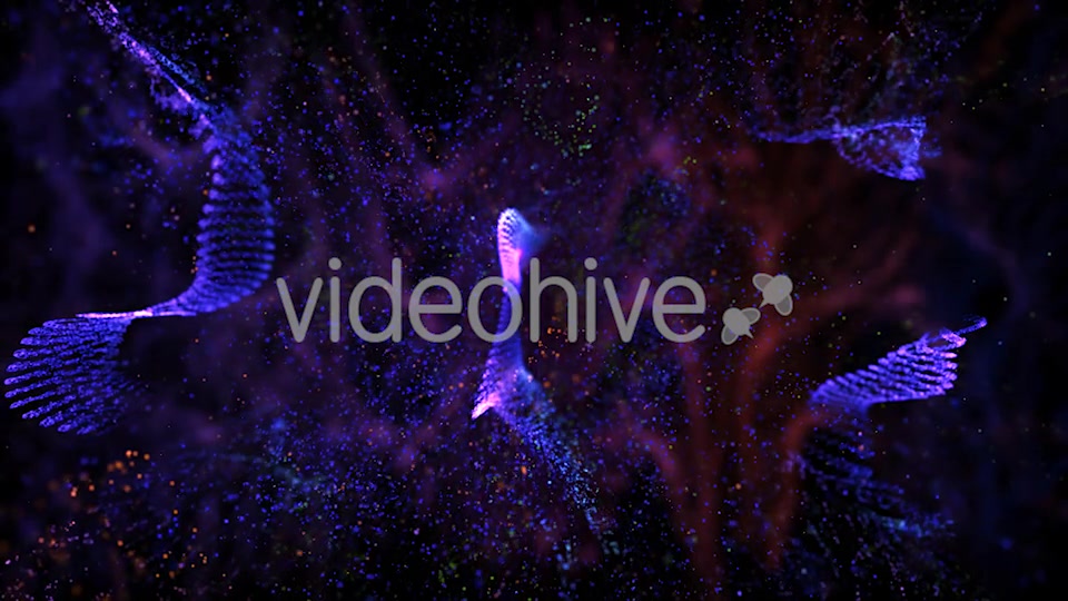 Tornado Particles Background Videohive 20246496 Motion Graphics Image 3