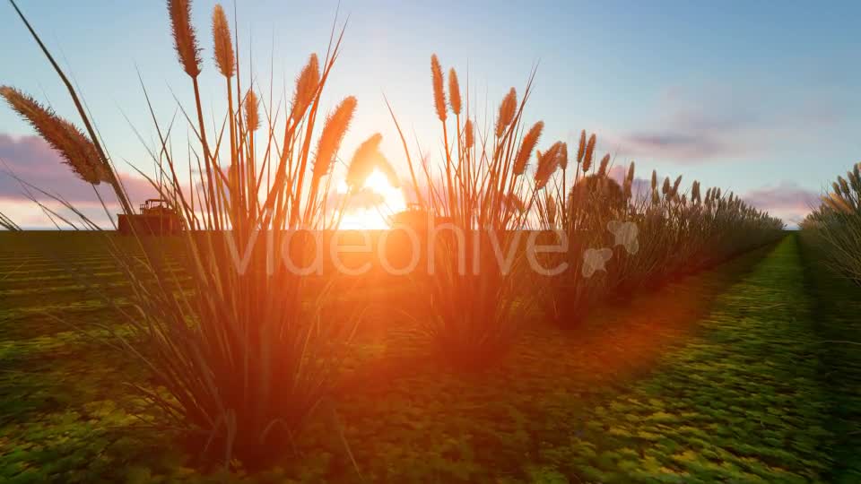 Tractor Working In The Field Videohive 20245018 Motion Graphics Image 1