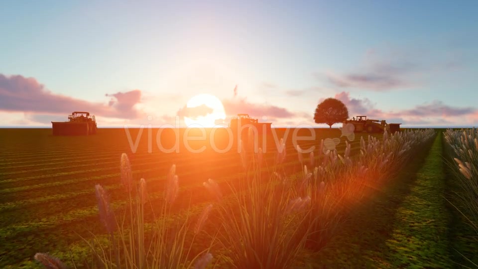 Tractor Working In The Field Videohive 20245018 Motion Graphics Image 4