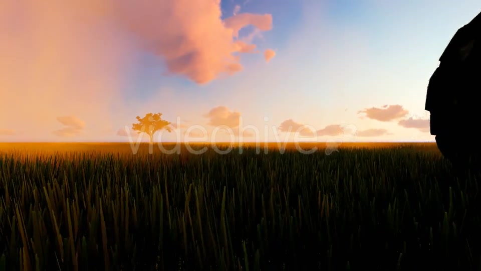 Tractor working in the field sunset Videohive 19761591 Motion Graphics Image 6