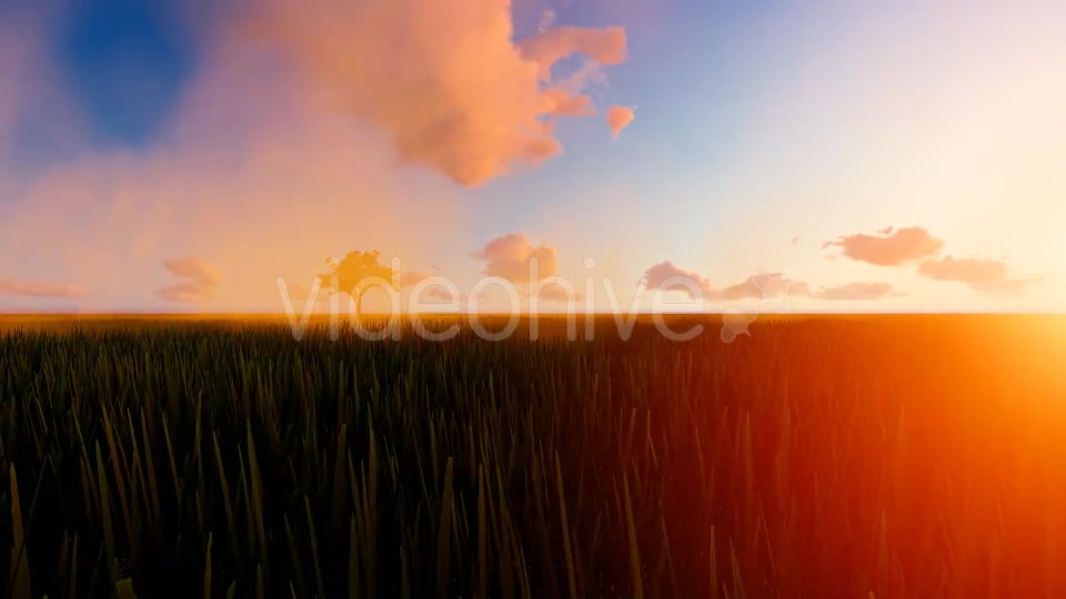 Tractor working in the field sunset Videohive 19761591 Motion Graphics Image 7