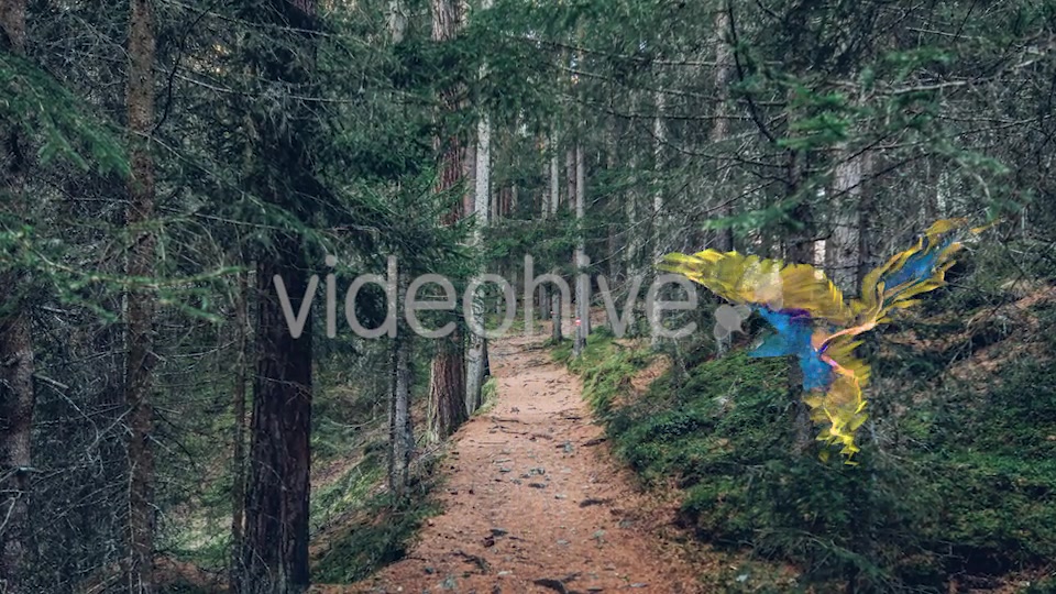 Transitions Life Color Videohive 20569392 Motion Graphics Image 4