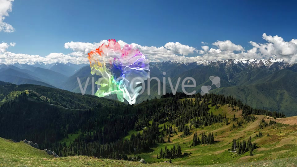 Transitions Life Color Videohive 20569392 Motion Graphics Image 8