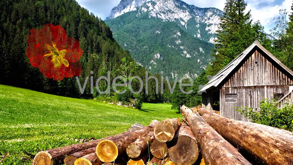 Transitions Life Color Videohive 20569392 Motion Graphics Image 9