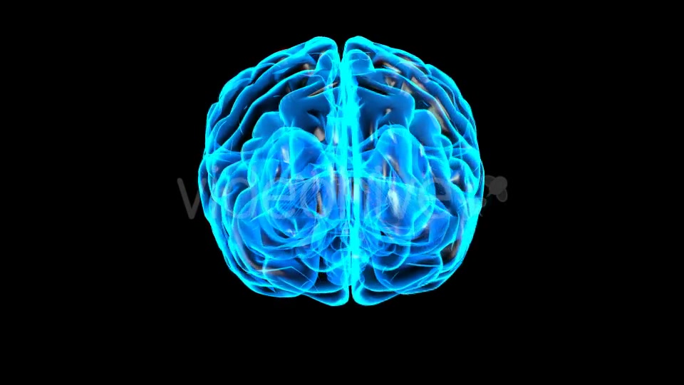 Transparent Brain Rotation #2 Videohive 19298928 Motion Graphics Image 3
