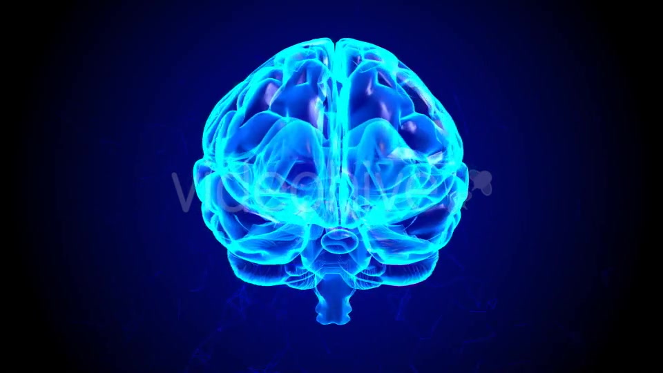 Transparent Brain Rotation Videohive 19298917 Motion Graphics Image 3