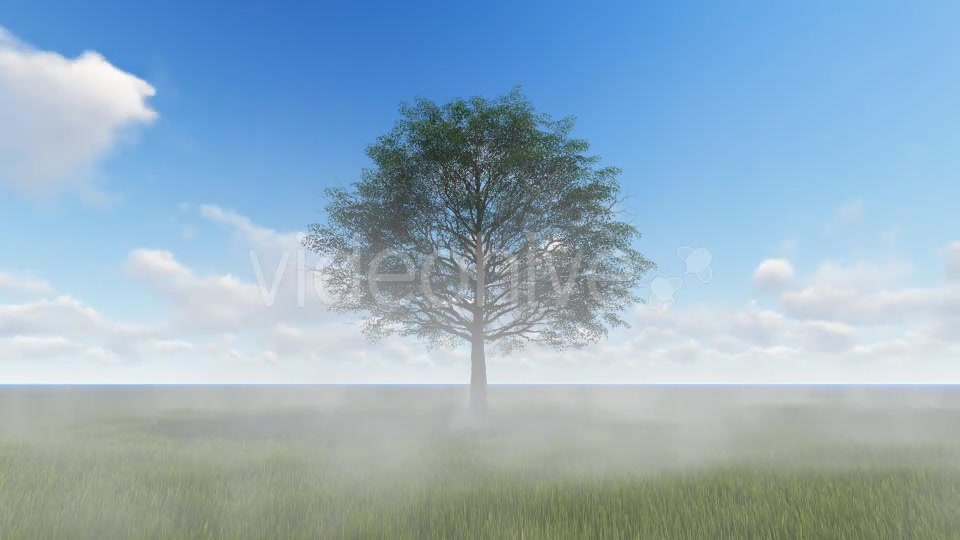 Tree and Fog Videohive 19565267 Motion Graphics Image 3