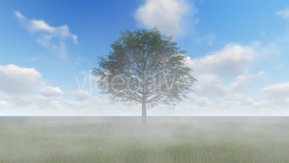 Tree and Fog Videohive 19565267 Motion Graphics Image 5