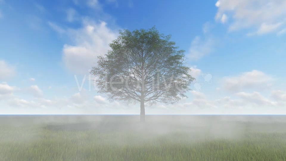 Tree and Fog Videohive 19565267 Motion Graphics Image 6