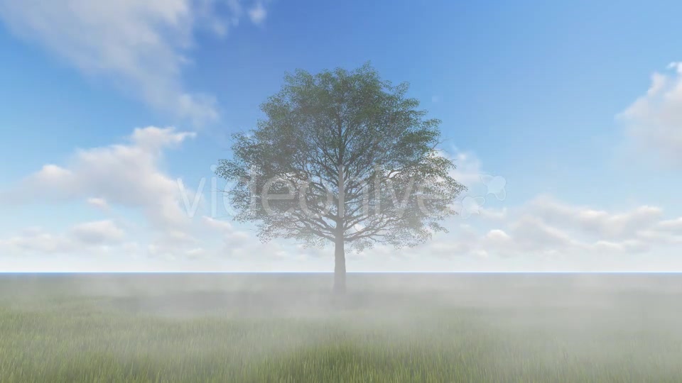 Tree and Fog Videohive 19565267 Motion Graphics Image 7