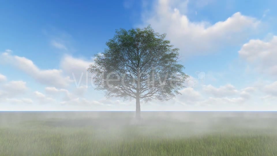 Tree and Fog Videohive 19565267 Motion Graphics Image 8