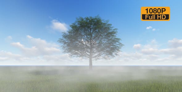 Tree and Fog - Download Videohive 19565267