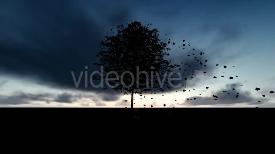 Tree and Spilled Leaves Videohive 20395901 Motion Graphics Image 1