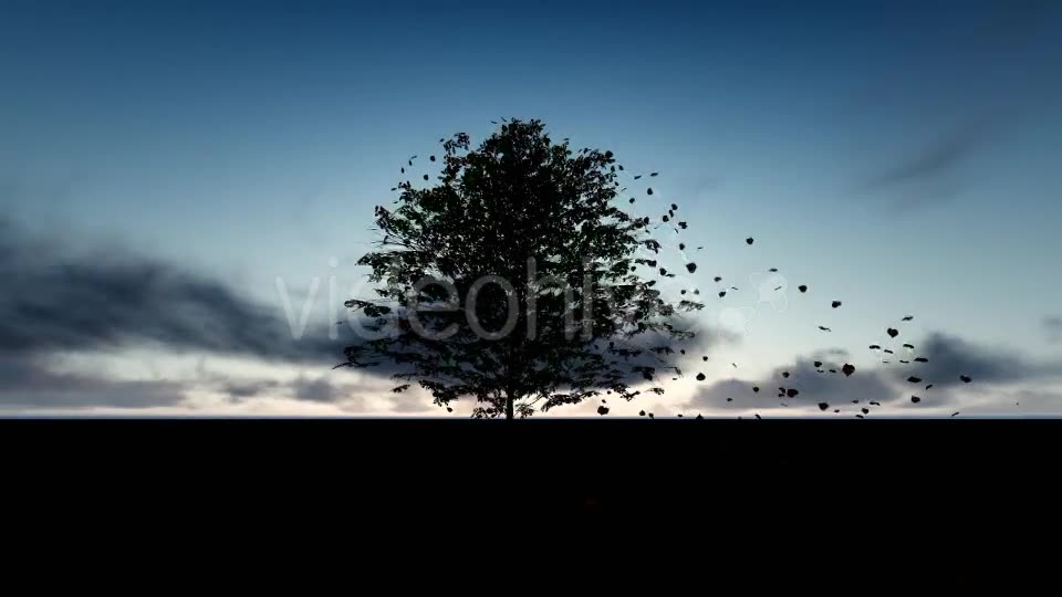 Tree and Spilled Leaves Videohive 20395901 Motion Graphics Image 2