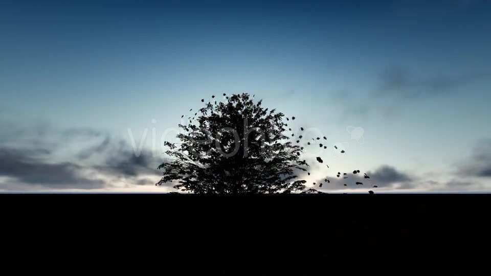 Tree and Spilled Leaves Videohive 20395901 Motion Graphics Image 3