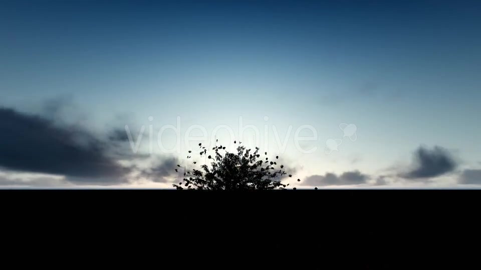 Tree and Spilled Leaves Videohive 20395901 Motion Graphics Image 4