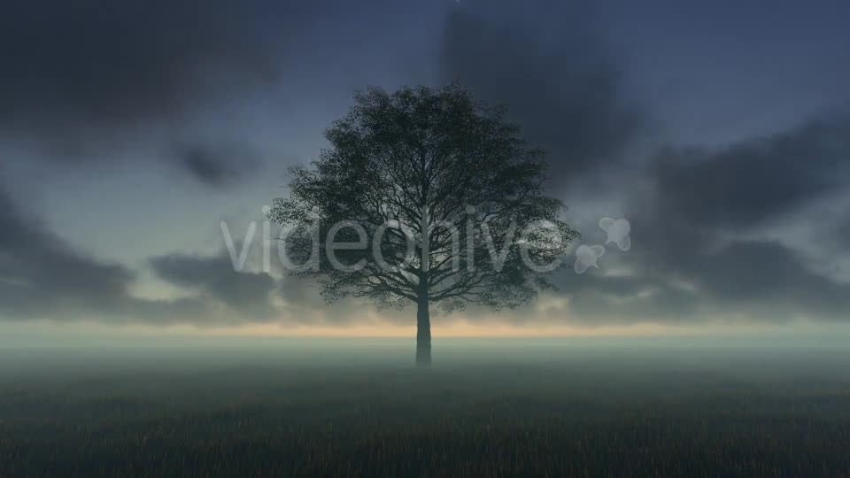 Tree and Time lapse Clouds Videohive 19594562 Motion Graphics Image 1