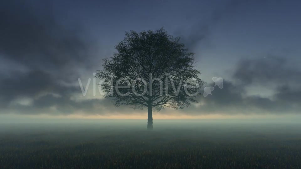 Tree and Time lapse Clouds Videohive 19594562 Motion Graphics Image 2