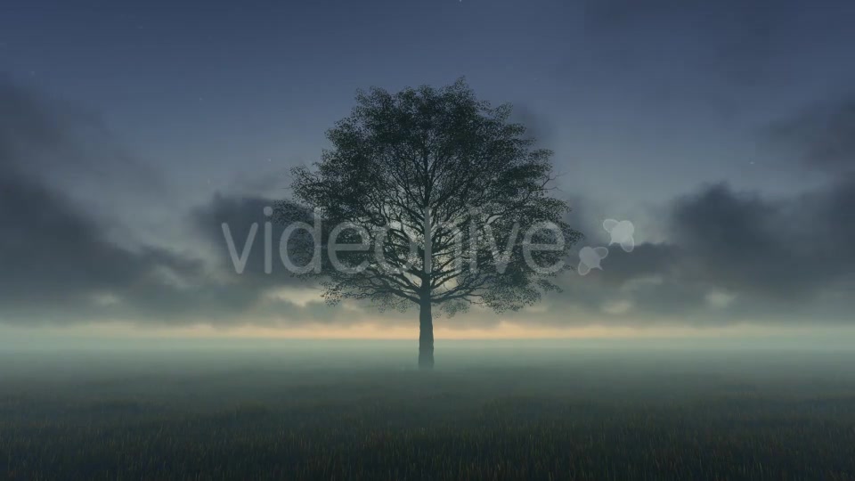 Tree and Time lapse Clouds Videohive 19594562 Motion Graphics Image 4