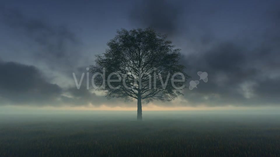 Tree and Time lapse Clouds Videohive 19594562 Motion Graphics Image 5