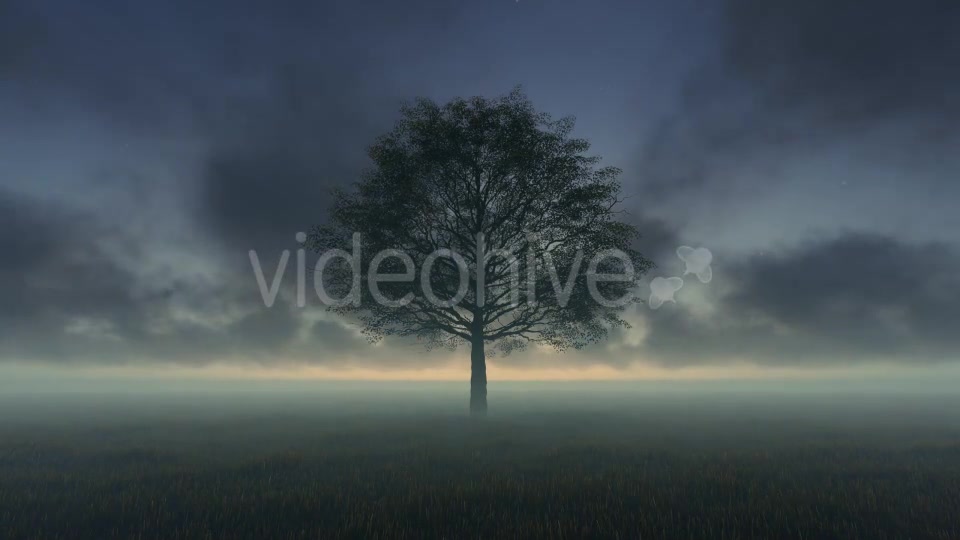 Tree and Time lapse Clouds Videohive 19594562 Motion Graphics Image 6