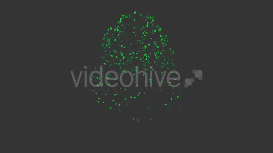 Tree Collection 1 Videohive 12451613 Motion Graphics Image 10