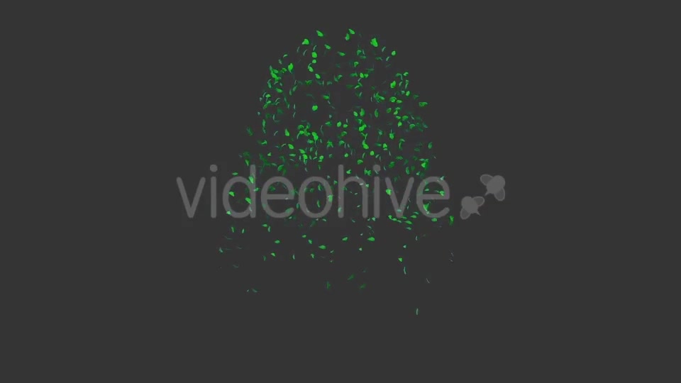 Tree Collection 1 Videohive 12451613 Motion Graphics Image 9