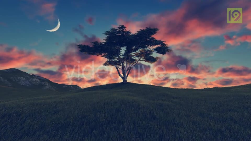 Tree On Hill 3 Videohive 20242520 Motion Graphics Image 10