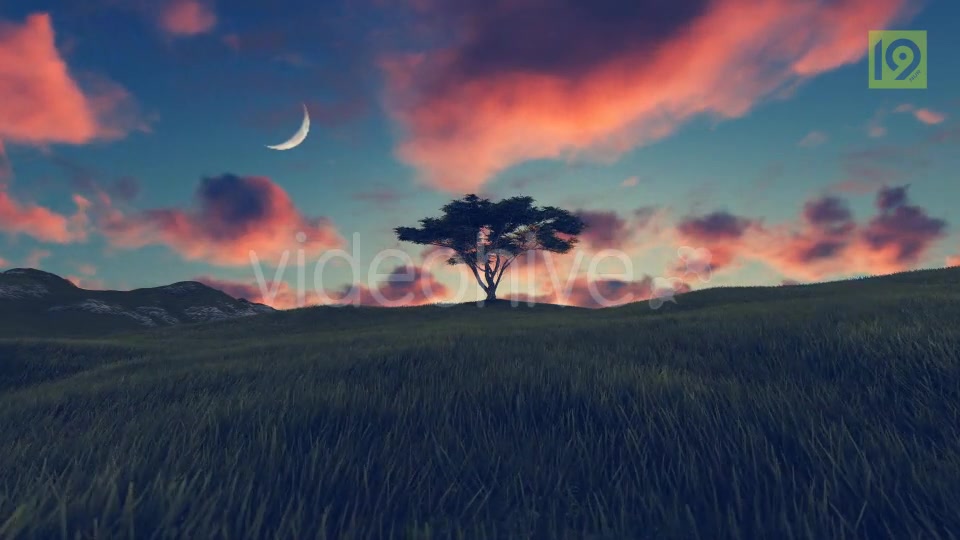 Tree On Hill 3 Videohive 20242520 Motion Graphics Image 3